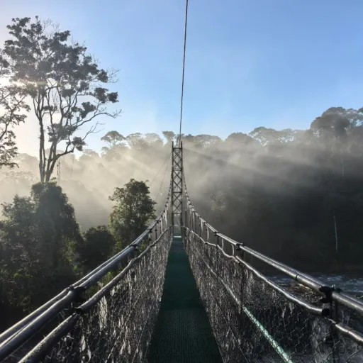 Interview with Mariela García-Sánchez from Reserva Biológica Tirimbina: Protecting Biodiversity in a Biological Reserve
