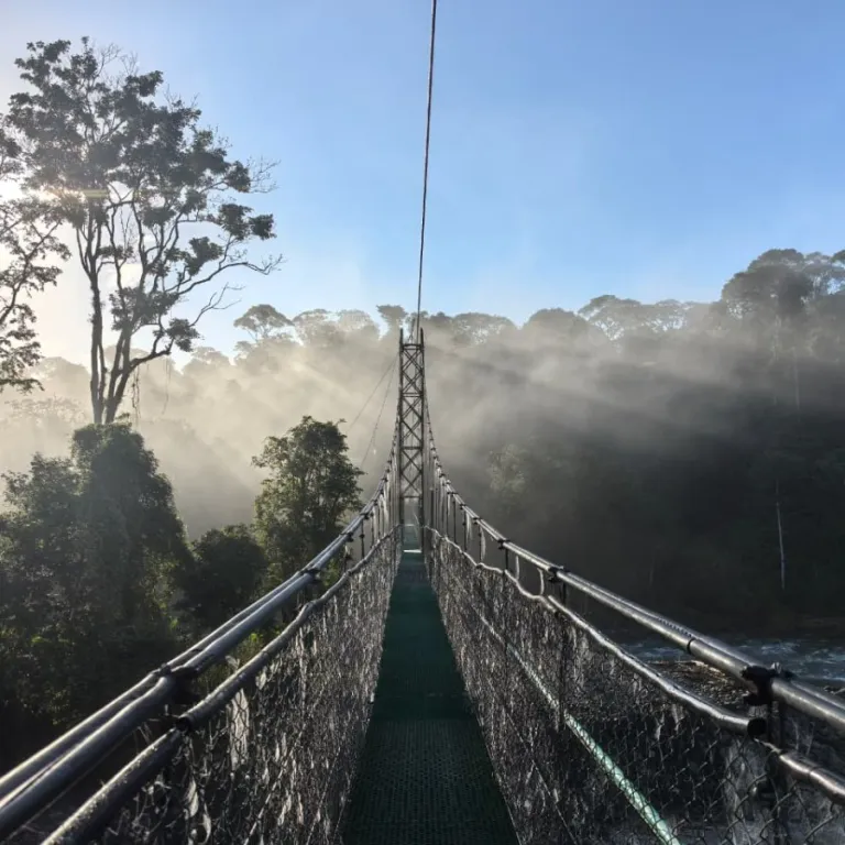 Interview with Mariela García-Sánchez from Reserva Biológica Tirimbina: Protecting Biodiversity in a Biological Reserve